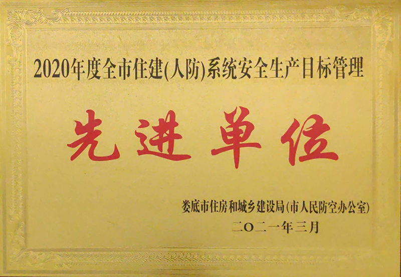 2020���ȫ��ס��ϵ�y(t��ng)��ȫ���a(ch��n)Ŀ�˹������M��λ